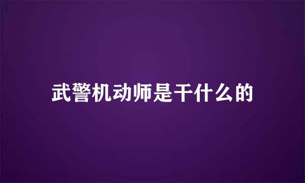 武警机动师是干什么的