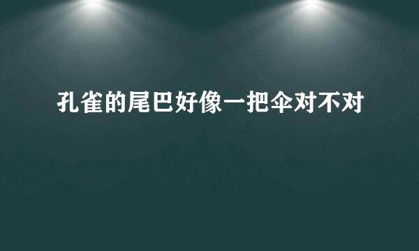 孔雀的尾巴好像一把伞对不对