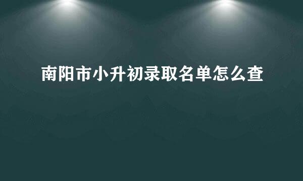 南阳市小升初录取名单怎么查