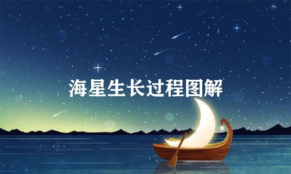 海星生长过程图解