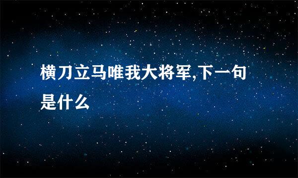 横刀立马唯我大将军,下一句是什么