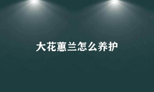 大花蕙兰怎么养护