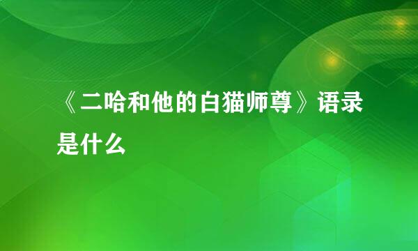 《二哈和他的白猫师尊》语录是什么