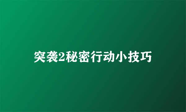 突袭2秘密行动小技巧