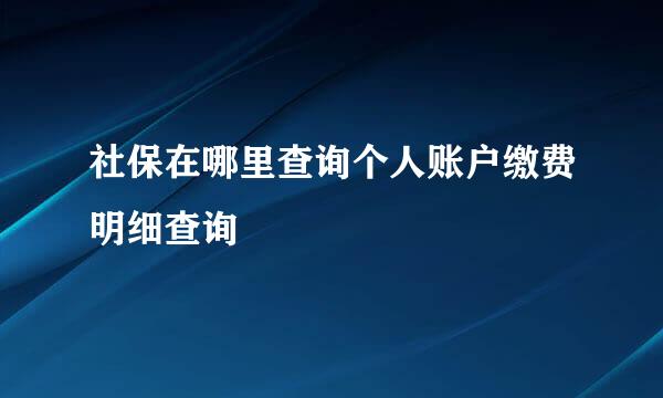 社保在哪里查询个人账户缴费明细查询