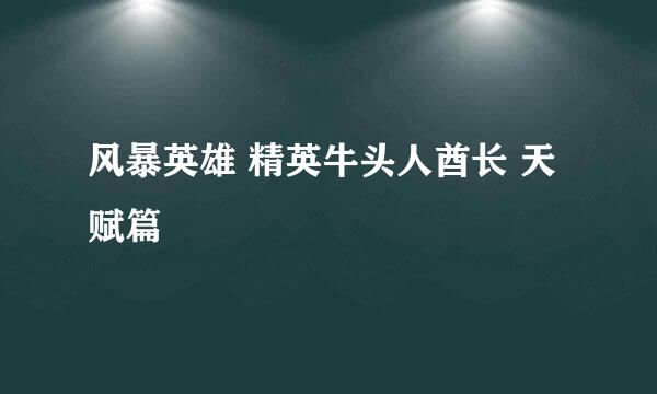 风暴英雄 精英牛头人酋长 天赋篇