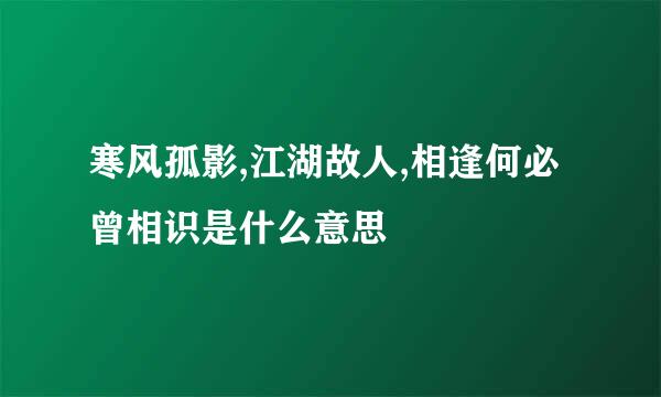 寒风孤影,江湖故人,相逢何必曾相识是什么意思