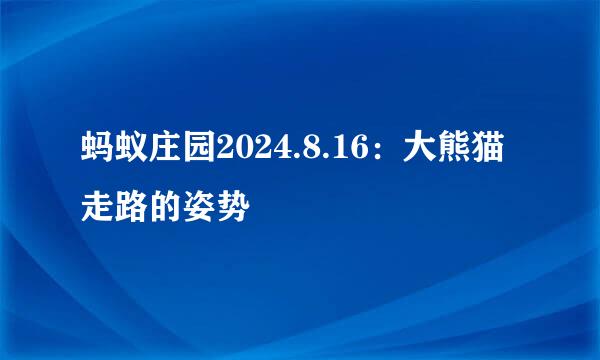 蚂蚁庄园2024.8.16：大熊猫走路的姿势