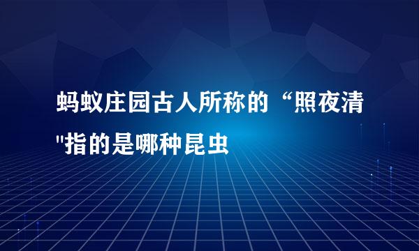 蚂蚁庄园古人所称的“照夜清