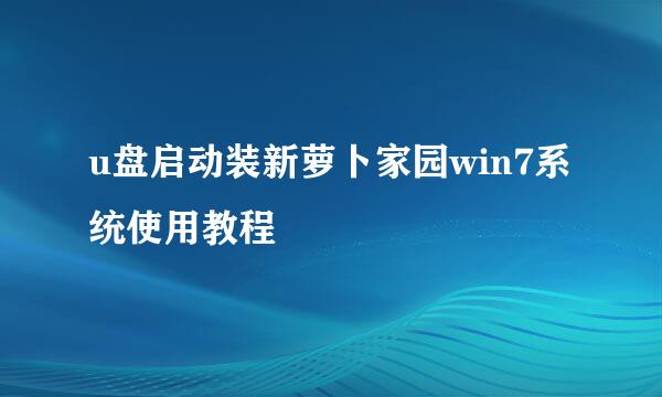 u盘启动装新萝卜家园win7系统使用教程