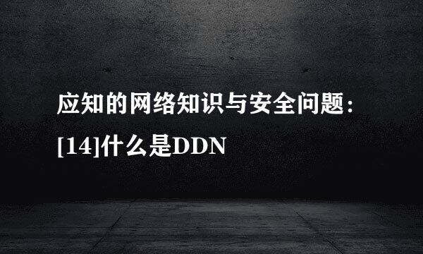 应知的网络知识与安全问题：[14]什么是DDN