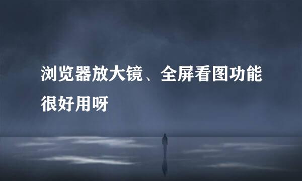 浏览器放大镜、全屏看图功能很好用呀