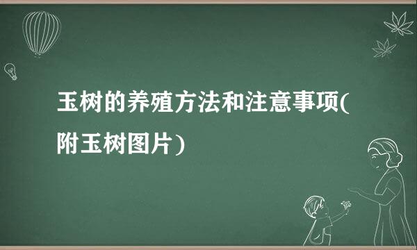 玉树的养殖方法和注意事项(附玉树图片)