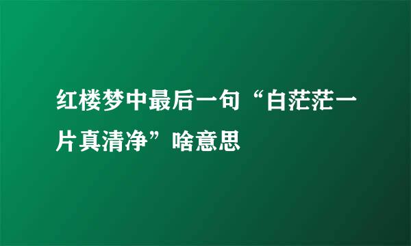 红楼梦中最后一句“白茫茫一片真清净”啥意思