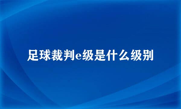 足球裁判e级是什么级别