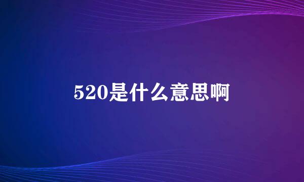 520是什么意思啊