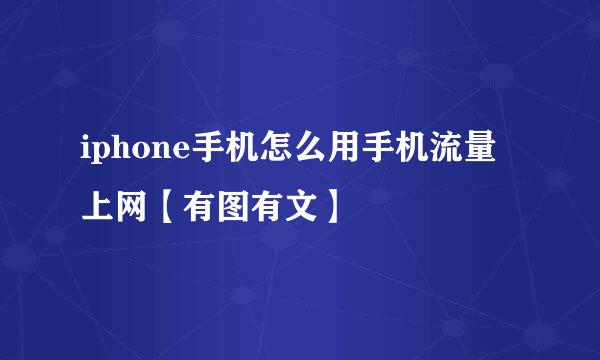 iphone手机怎么用手机流量上网【有图有文】