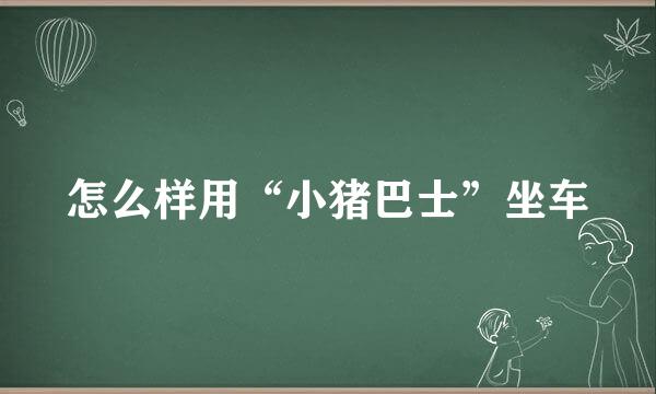 怎么样用“小猪巴士”坐车