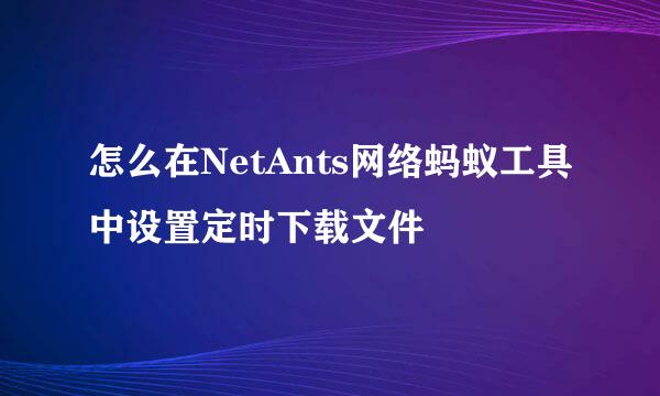 怎么在NetAnts网络蚂蚁工具中设置定时下载文件