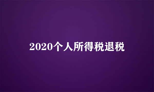 2020个人所得税退税