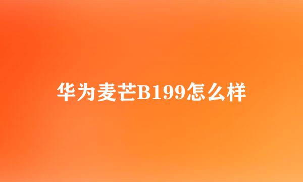 华为麦芒B199怎么样