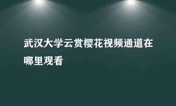 武汉大学云赏樱花视频通道在哪里观看