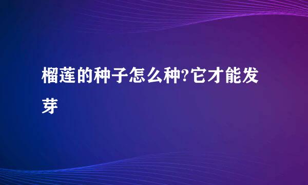 榴莲的种子怎么种?它才能发芽