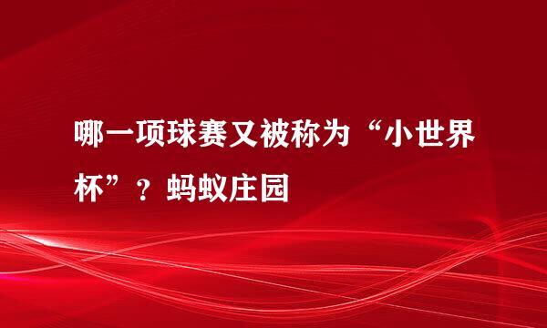 哪一项球赛又被称为“小世界杯”？蚂蚁庄园