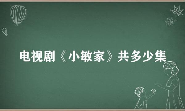 电视剧《小敏家》共多少集