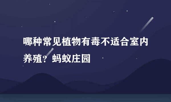 哪种常见植物有毒不适合室内养殖？蚂蚁庄园