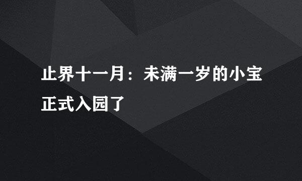 止界十一月：未满一岁的小宝正式入园了