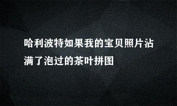 哈利波特如果我的宝贝照片沾满了泡过的茶叶拼图