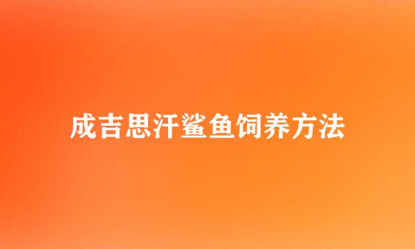 成吉思汗鲨鱼饲养方法