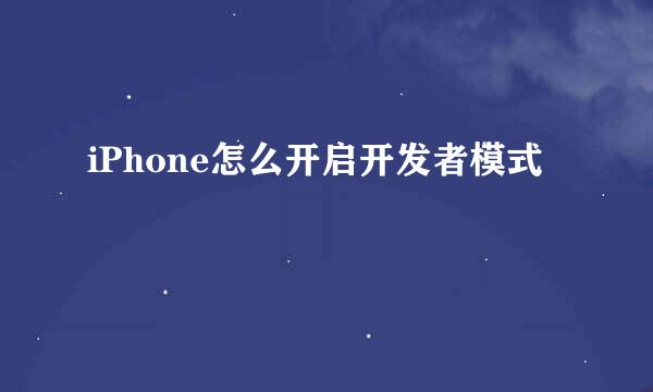 iPhone怎么开启开发者模式