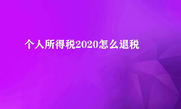 个人所得税2020怎么退税