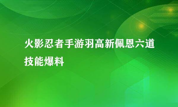 火影忍者手游羽高新佩恩六道技能爆料