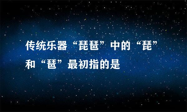 传统乐器“琵琶”中的“琵”和“琶”最初指的是