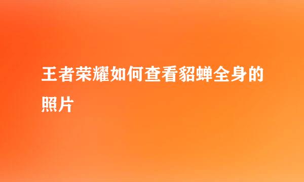 王者荣耀如何查看貂蝉全身的照片