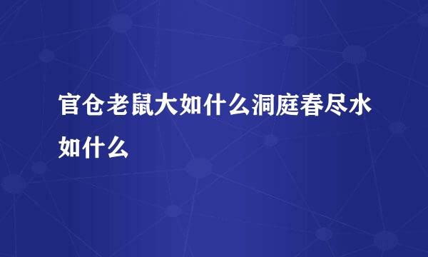 官仓老鼠大如什么洞庭春尽水如什么