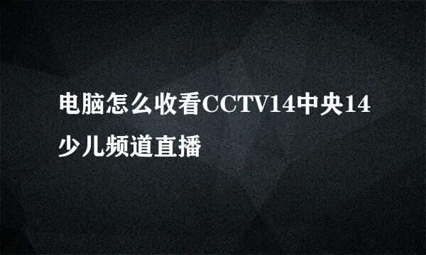 电脑怎么收看CCTV14中央14少儿频道直播