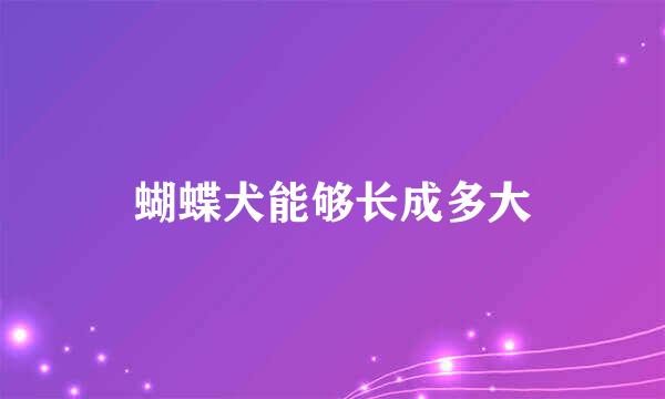 蝴蝶犬能够长成多大