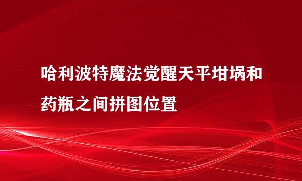 哈利波特魔法觉醒天平坩埚和药瓶之间拼图位置