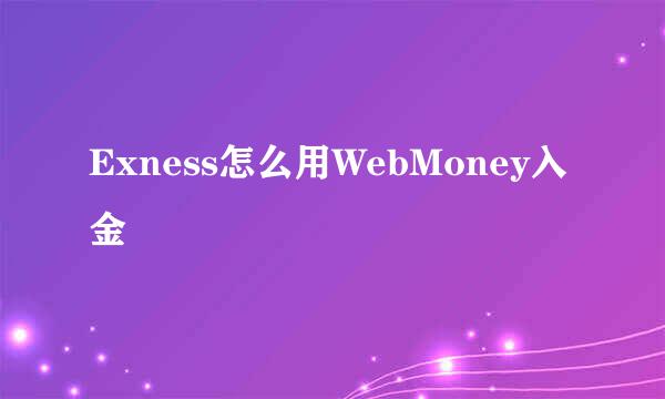 Exness怎么用WebMoney入金