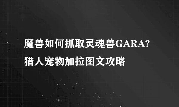 魔兽如何抓取灵魂兽GARA?猎人宠物加拉图文攻略