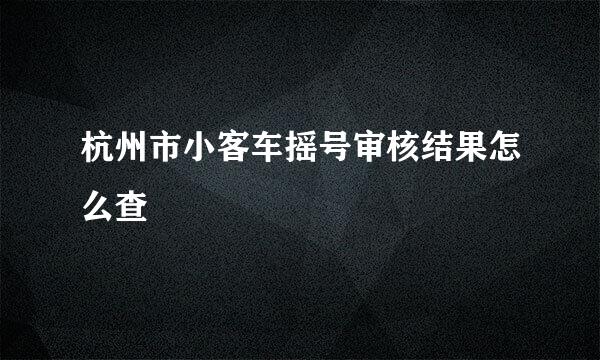 杭州市小客车摇号审核结果怎么查