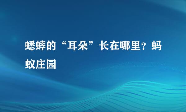 蟋蟀的“耳朵”长在哪里？蚂蚁庄园