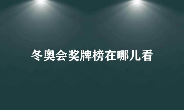 冬奥会奖牌榜在哪儿看