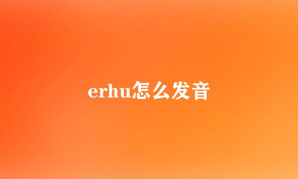 erhu怎么发音