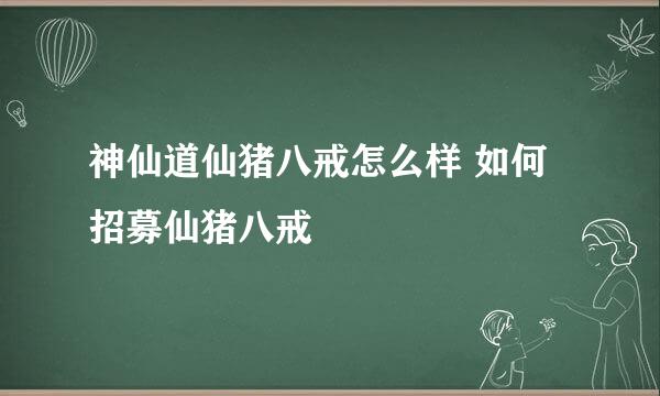 神仙道仙猪八戒怎么样 如何招募仙猪八戒