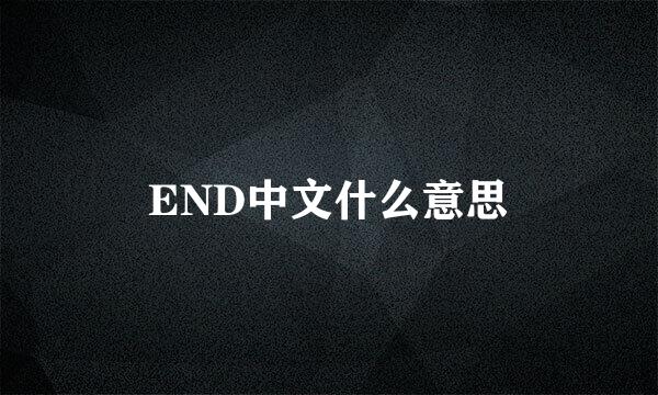 END中文什么意思